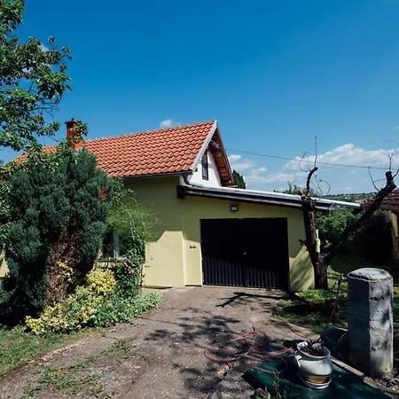 Dom wakacyjny Vikendica Ilic - Petrovac Na Mlavi *