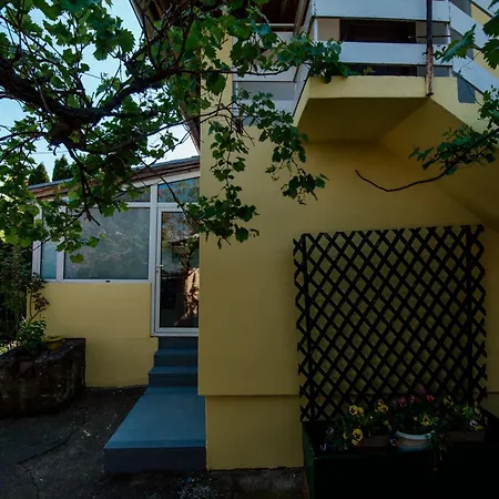 Vikendica Ilic - Petrovac Na Mlavi Dom wakacyjny *