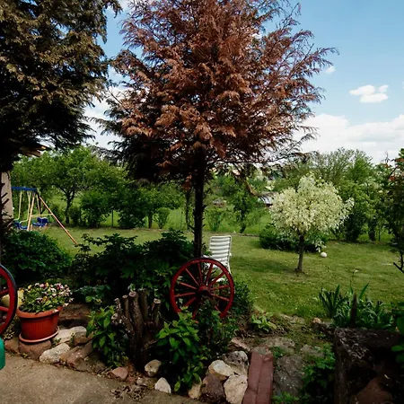 Dom wakacyjny Vikendica Ilic - Petrovac Na Mlavi *