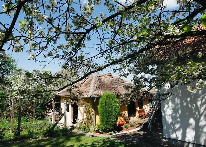 Дом отдыха Vikendica Ilic - Petrovac Na Mlavi Porosanica